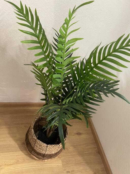 Boho Apartment Birkenstoeckl 바트라이셴할 외부 사진